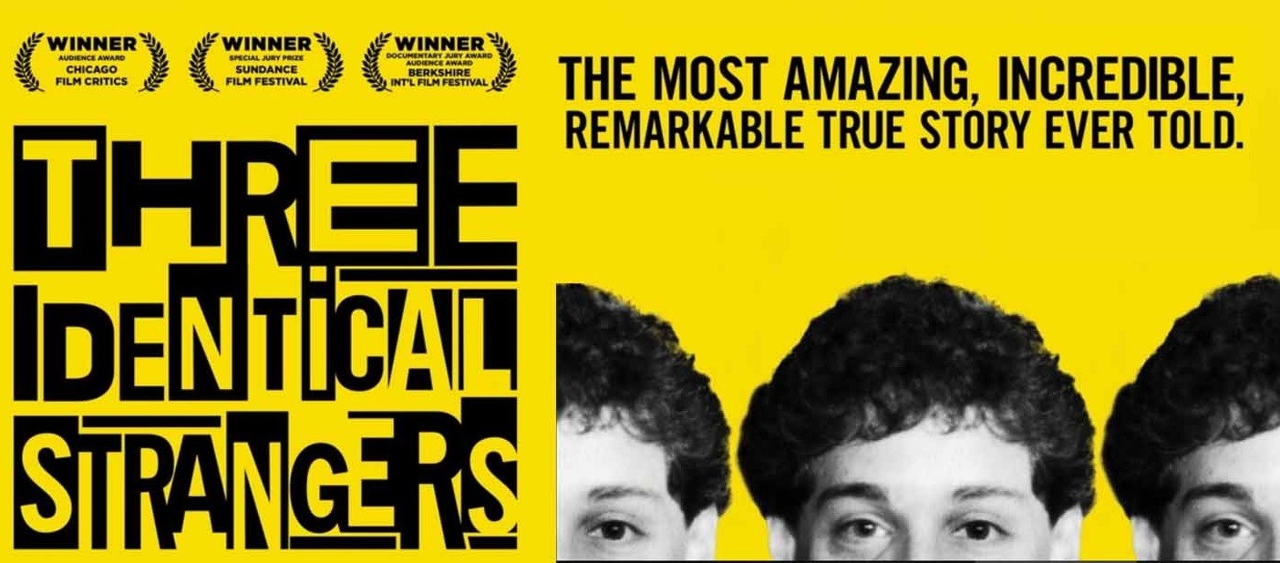 Image result for three identical strangers poster